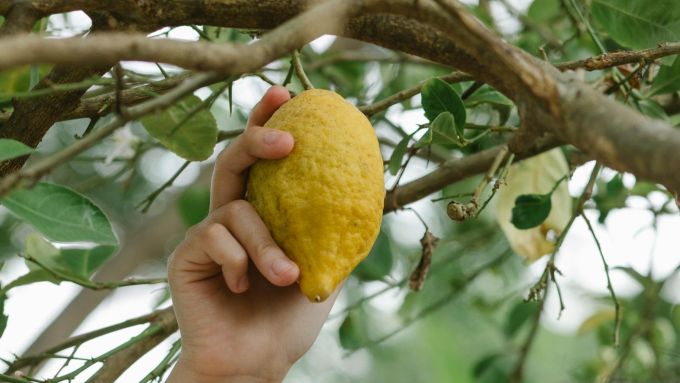 Sašaurini fokusu un sasniedz svarīgāko