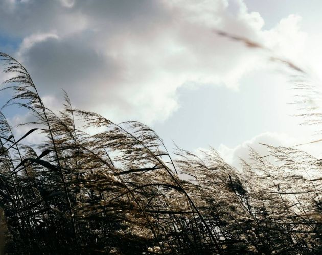 Es neesmu vadītājs, bet man jāvada komanda?