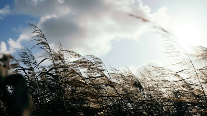 Es neesmu vadītājs, bet man jāvada komanda?