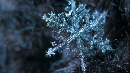 Kāpēc jutīgi cilvēki ir laba līdera top izvēle?