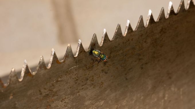 Līderības robi, ko izgaismoja pandēmija